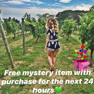 FREE MYSTERY ITEM W/ PURCHASE; NEXT 24 HOURS ONLY!